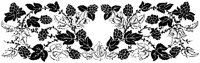 Stylized Hops.tif