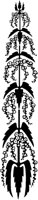 Vertical Flowering Plant.tif