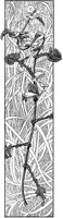 Vertical Plant Ornament.tif