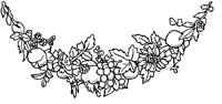 Festoon 4.tif