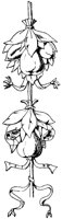 Fruit Ornament 1.tif