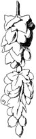 Fruit Ornament 3.tif
