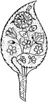 Persian Brocade Leaf Ornament.tif