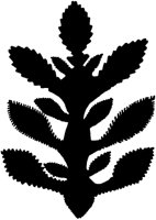 Plant Cutout 1.tif