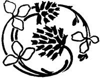 Small Spiral Plant Design.tif