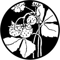 Strawberries Circle Design.tif