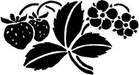 Strawberries with Leaves.tif