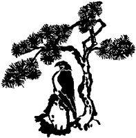 Bird of Prey under Tree.tif