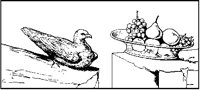 Pigeon and Fruit.tif