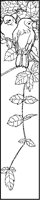Two Birds on Hanging Branch 1.tif