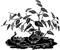 Waterfowl and Plant Design.tif
