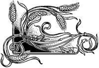 Wheat and Locusts Design.tif