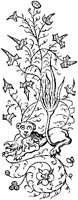 Fanciful Lion Ornament.tif
