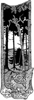 Squirrel in Pine Woods.tif