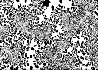 Abstract Pine Design.tif