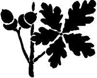 Acorns and Leaves Silhouette.tif