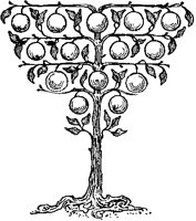 Arbor Vitae 2.tif