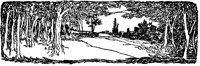 Fruited Tree Scene.tif