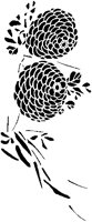 Japanese Pine Cones.tif