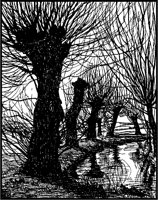 Pruned Bare Trees.tif