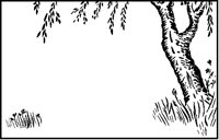 Simple Willow.tif