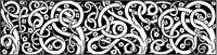Spiral Branches Design.tif
