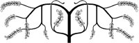 Stylish Pruned Tree.tif