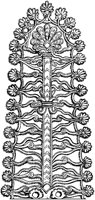 Symbolic Tree of Life.tif