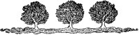 Three Rounded Trees.tif