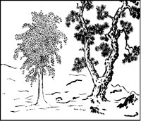 Two Trees Landscape.tif