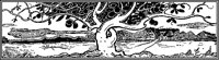 Wind-Swept Tree.tif