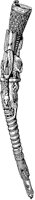 Benin Ivory Staff.tif