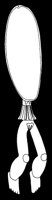 Female African Spoon.tif