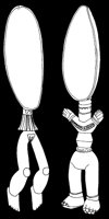 Female and Male African Spoons.tif