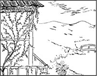 Rattan Vine Landscape.tif