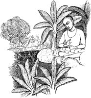 Meditation.tif