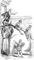 Playing on an Elephant.tif