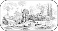 Fallen Stela at Copán.tif