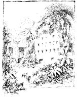 Palomal at Uxmal.tif