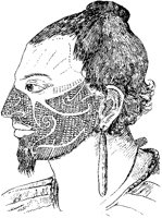 Maori Face Tattooing 1.tif
