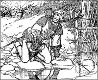 Robin Hood.tif