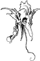 Avian Monster Head.tif