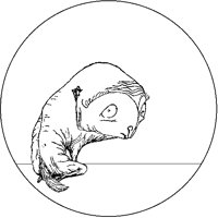 Big-Eyed Creature in Circle.tif