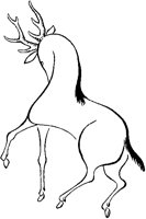 Chinese Horse with Antlers.tif