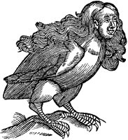 Man-Bird.tif