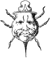 Moustache Man Insect.tif
