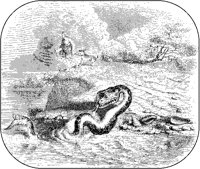 Serpent Head and Tail.tif