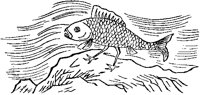 Chinese Sea Creature 1.tif