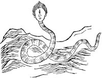 Chinese Sea Creature 3.tif