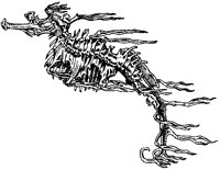Fucus-Like Seahorse.tif